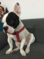 -以墨纹身