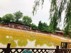 -尚庄度假村·庭台树下·户外烧烤·团建CS·轰趴营地(上庄水库店)