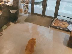 -谜语人真人演绎沉浸式密室实景游戏剧场