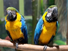 -海合安武汉极地海洋公园