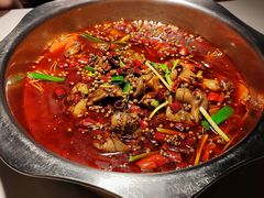 -宽口美蛙鱼头(大唐西市店)