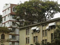 -溪岸路花鸟市场