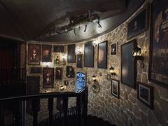 -雪灵魔法世界SHELLY’S TAROT(大良桂畔里店)
