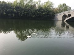 -西安汉城湖景区