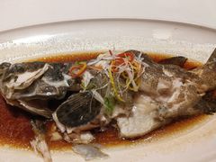 -宝轩渔府·老字号海鲜·正宗津菜(水上店)