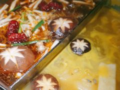 -湊湊火锅·茶憩(新中关购物中心店)