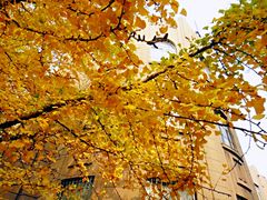 -辽宁大学(崇山校区)