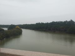 -南沙十九涌渔人码头-南门