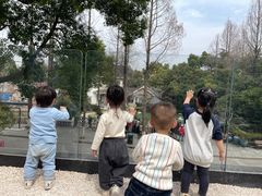 -J Create城市露营咖啡·简餐·宠物(上海动物园店)