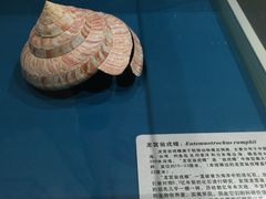 -青岛贝壳博物馆