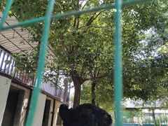 -武汉紫薇都市田园