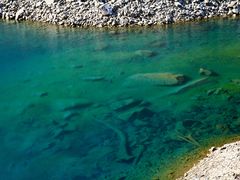 -叠溪松坪沟景区