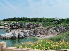 -养马岛旅游度假区