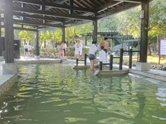 -三江森林温泉度假区