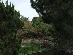 -叶家花园