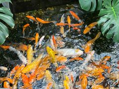 -上海大自然野生昆虫馆(东方明珠·爬宠昆虫探索中心)