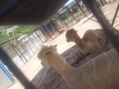 -山西乌金山旅游区