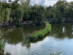 -昆明动物园