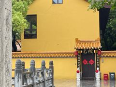 -太子山公园(园东路)