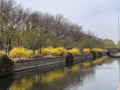 -元大都城垣遗址公园