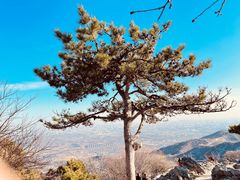 -香山公园
