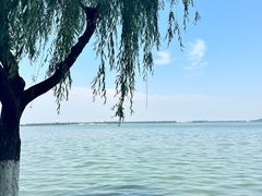 -东湖生态旅游风景区