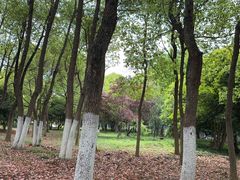 -合肥野生动物园