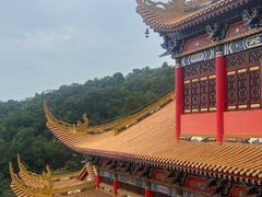-东莞市大岭山森林公园