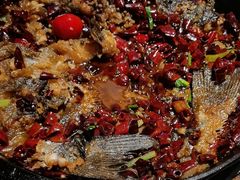 -老板恋上鱼(恒隆广场店)