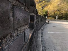 -蟒山国家森林公园-停车场