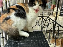 -天津前进宠物医院(前进道店)