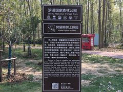 -合肥滨湖国家森林公园