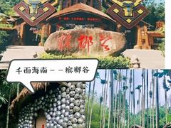 -呀诺达热带雨林