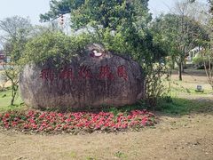 -鹅湖玫瑰文化园