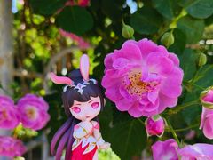 -国家植物园