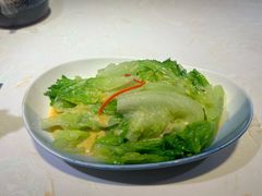 -点都德·毕德寮