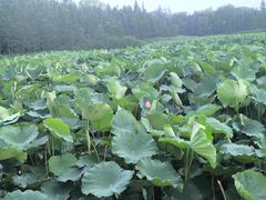 -云龙湖旅游景区