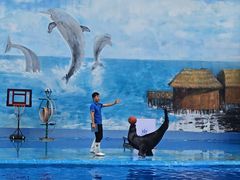 -石林冰雪海洋世界