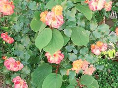 -东方童画少儿美术(金桥体验馆)