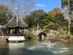 -上海醉白池公园