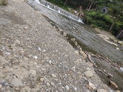 -四川省成都市彭州市白鹿镇