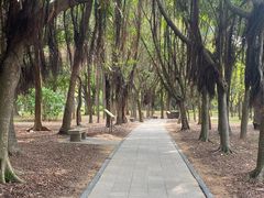 -深圳湾公园(南山区)