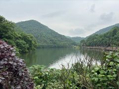 -桃花岭景区