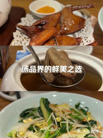 喝点鸽子汤消消暑避免溶化🫠