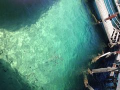 东姑阿都拉曼海洋公园-东姑阿都拉曼海洋公园