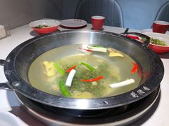 -蜀滋香鲜鱼美蛙火锅(339店)