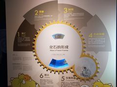 -正佳自然科学博物馆