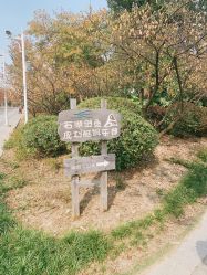 -剑鱼皮划艇俱乐部(石湖基地)