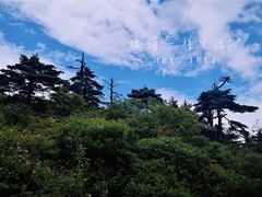 -秦岭风景区