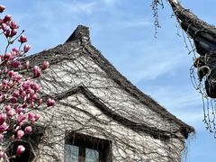 -东山风景区(洞庭东山)